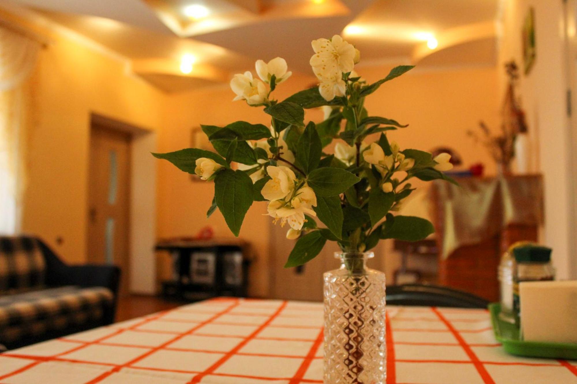 Apartamento Sion In Ulmu Exterior foto